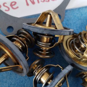 Termostat motor BD30