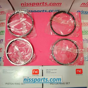 SET SEGMENTI R1 MOTOR ZD30